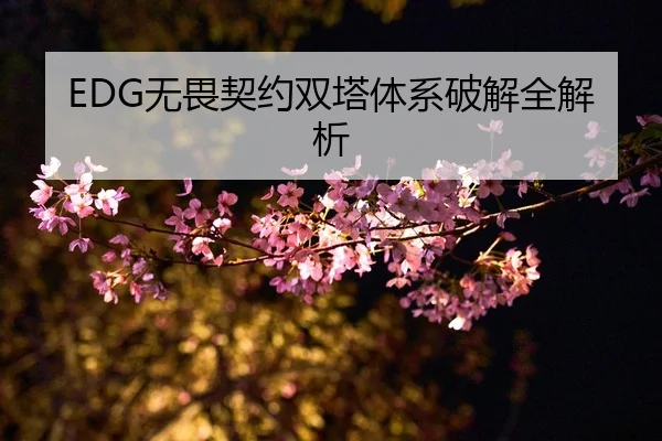 EDG无畏契约双塔体系破解全解析