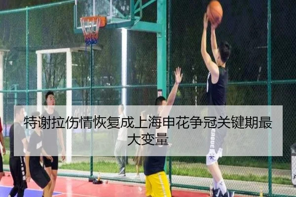 te-xie-la-shang-qing-hui-fu-cheng-shang-hai-shen-hua-zheng-guan-guan-jian-qi-zui-da-bian-liang-2-485.jpg