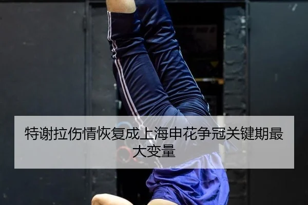 te-xie-la-shang-qing-hui-fu-cheng-shang-hai-shen-hua-zheng-guan-guan-jian-qi-zui-da-bian-liang-3-286.jpg