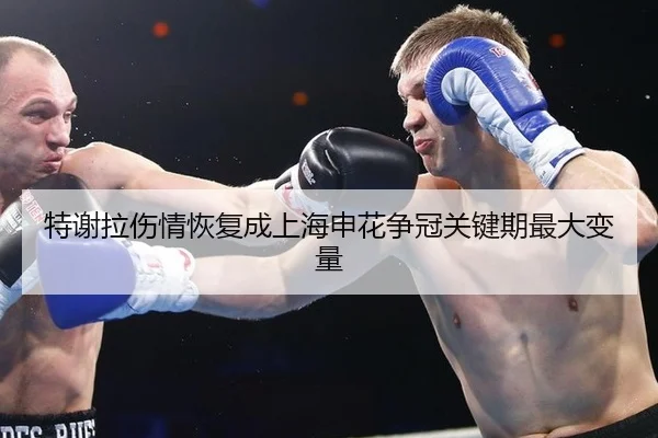 特谢拉伤情恢复成上海申花争冠关键期最大变量