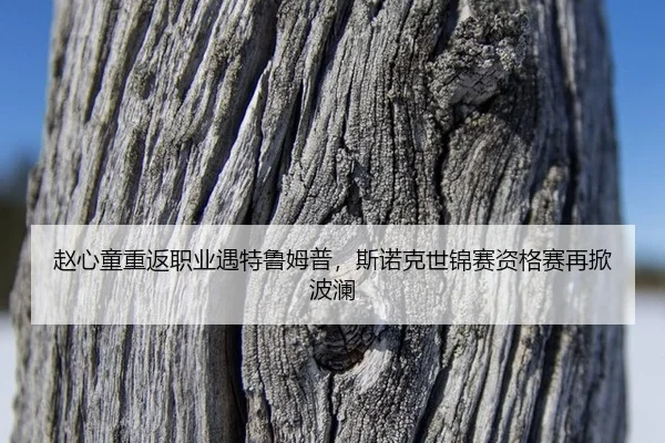 zhao-xin-tong-chong-fan-zhi-ye-yu-te-lu-mu-pu-si-nuo-ke-shi-jin-sai-zi-ge-sai-zai-xian-bo-lan-2-930.jpg